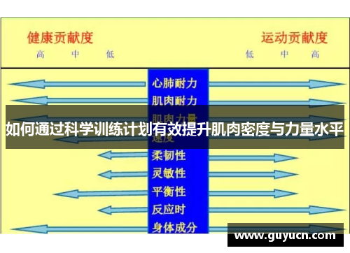 如何通过科学训练计划有效提升肌肉密度与力量水平