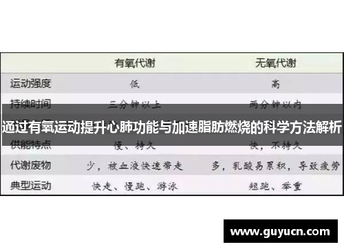 通过有氧运动提升心肺功能与加速脂肪燃烧的科学方法解析