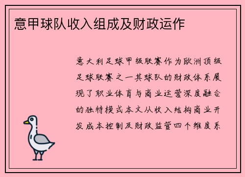 意甲球队收入组成及财政运作
