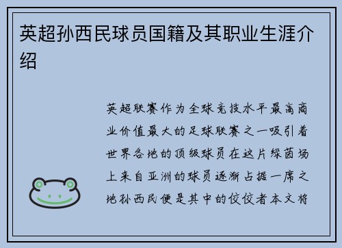 英超孙西民球员国籍及其职业生涯介绍