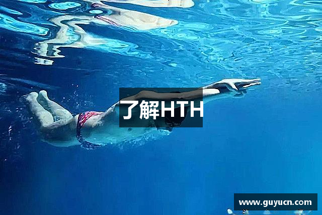 了解HTH